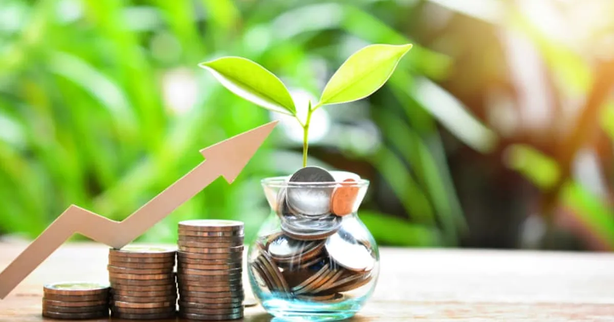 Veja como começar a investir com apenas R$ 100, segundo especialistas